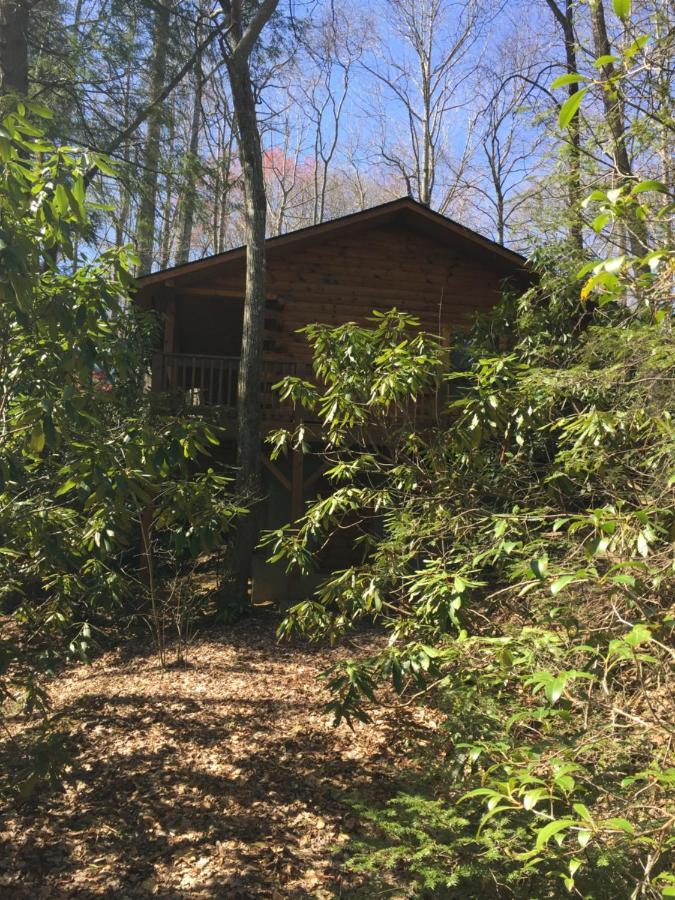 Misty Creek Log Cabins 马吉谷 外观 照片